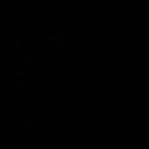 Meet your Posher, Tana